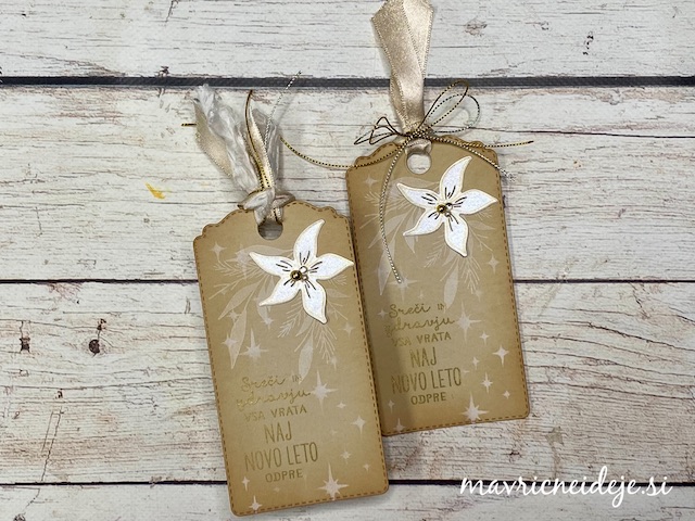 This image has an empty alt attribute; its file name is bela-božična-zvezda-na-tagu.jpeg