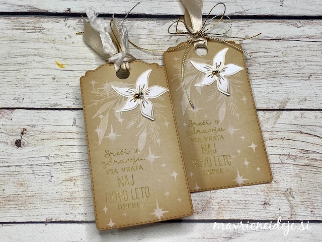 This image has an empty alt attribute; its file name is tagi-z-božično-zvezdo.jpeg