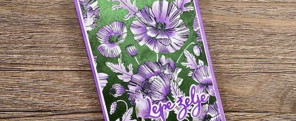 craftalnica-384-1-1